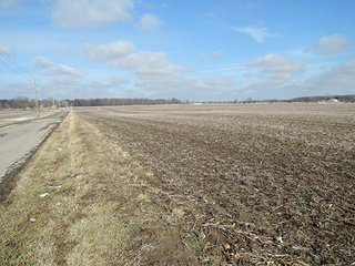 Property photo 10 - LAND AUCTION, 211+/- Acres offered in 3 Tracts